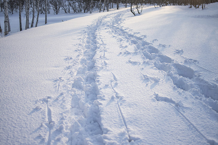 「サ道2019年末SP北の聖地でととのう」ネタバレ！ロケ地や見逃し配信は？