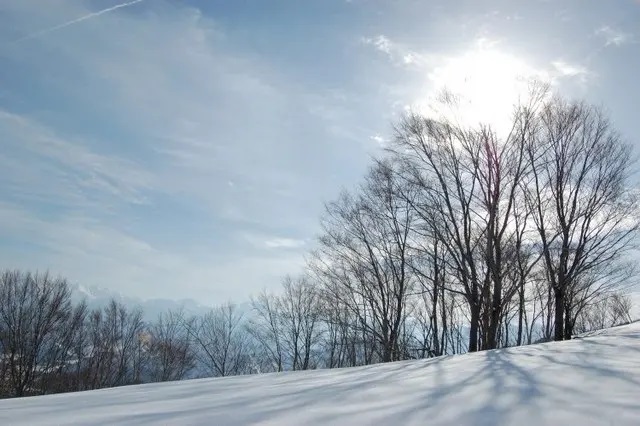 テセウスの船4話ネタバレ！木村さつきと鈴と車椅子の男の歪な生活