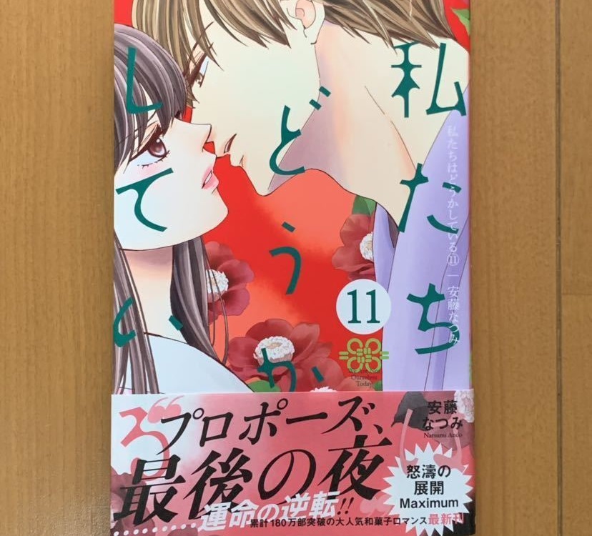 私たちはどうかしている11巻ネタバレ 椿と七桜の最後の夜と運命の時 ネタバレや動画情報配信 Udiラボ東京