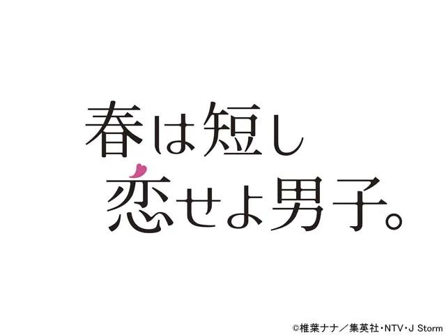 【ネタバレ】春は短し恋せよ男子。1話～最終回の動画見逃し配信や原作情報まとめ